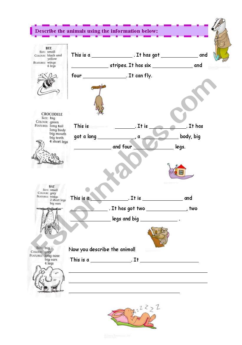 Describing Animals worksheet