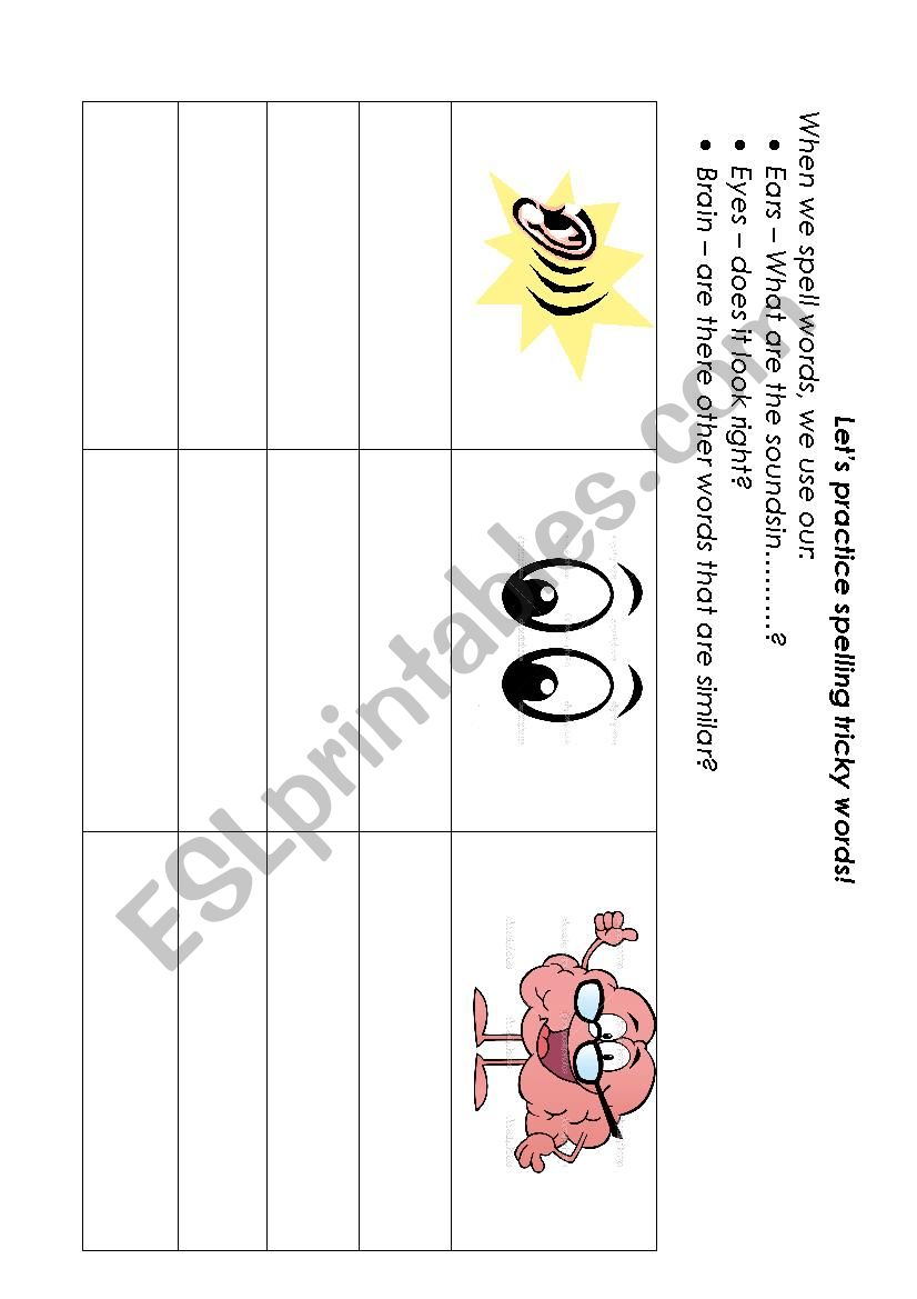 Sound, visual and meaning spelling 