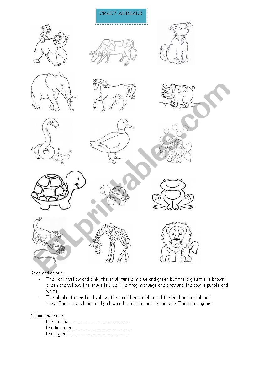 crazy animals worksheet