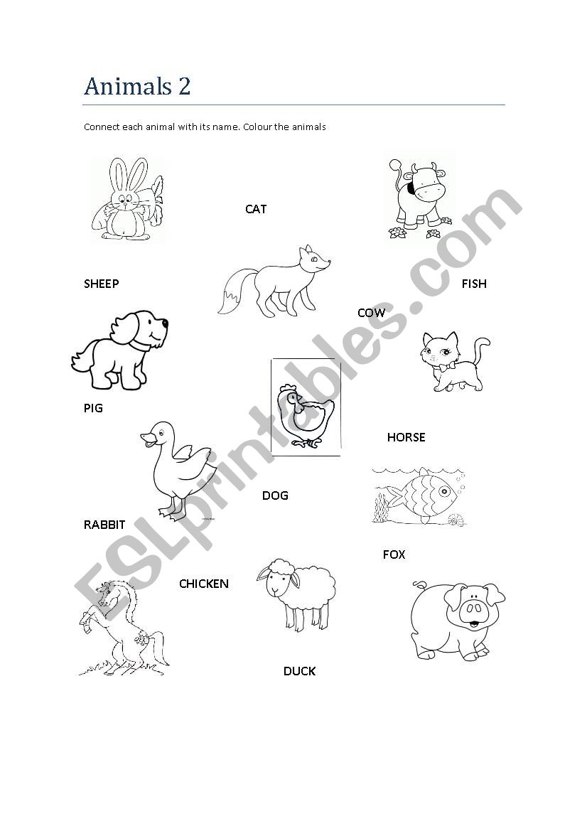 Animals matching worksheet