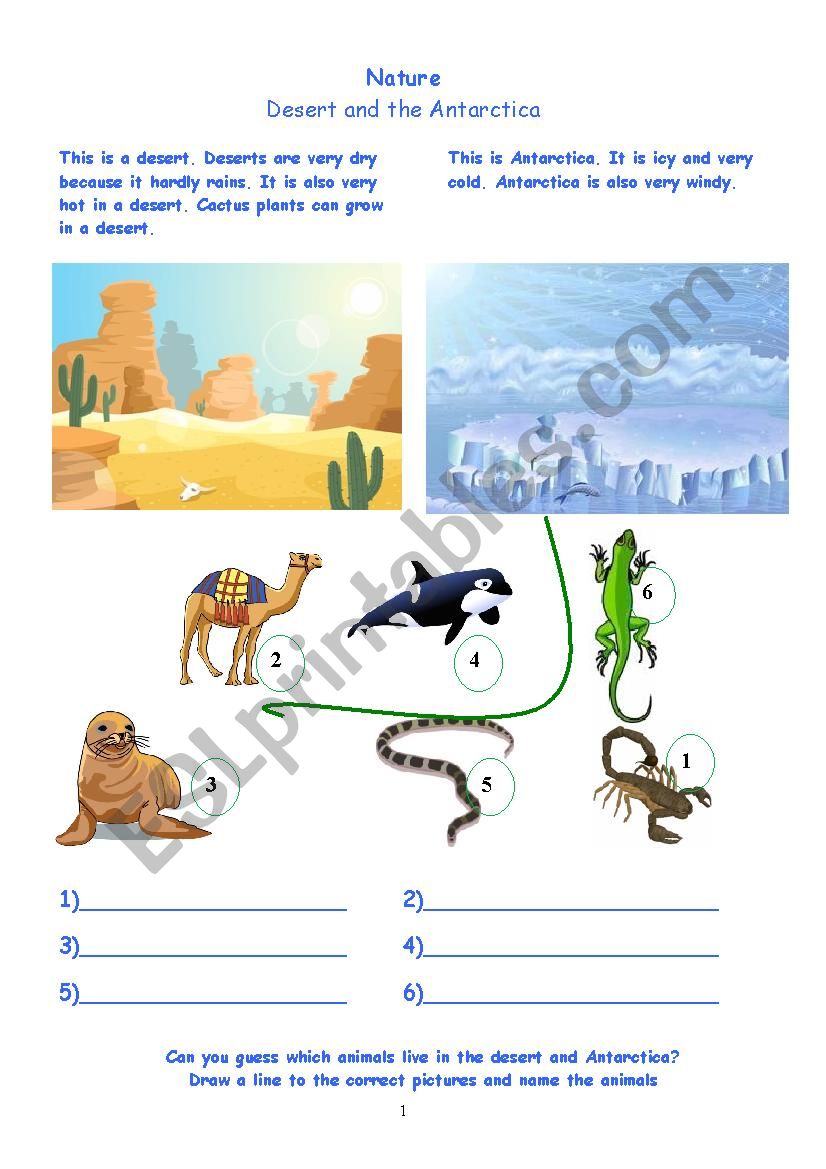 Nature Science Animals  worksheet