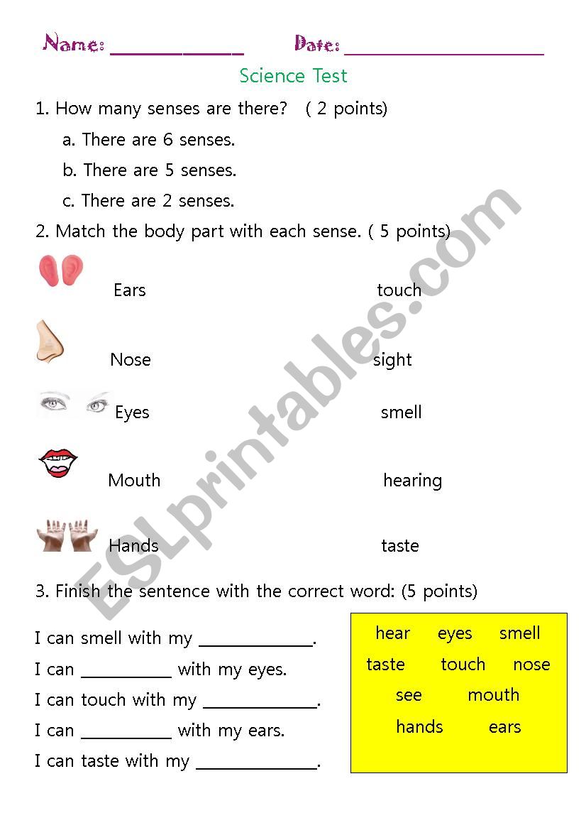 Science test worksheet