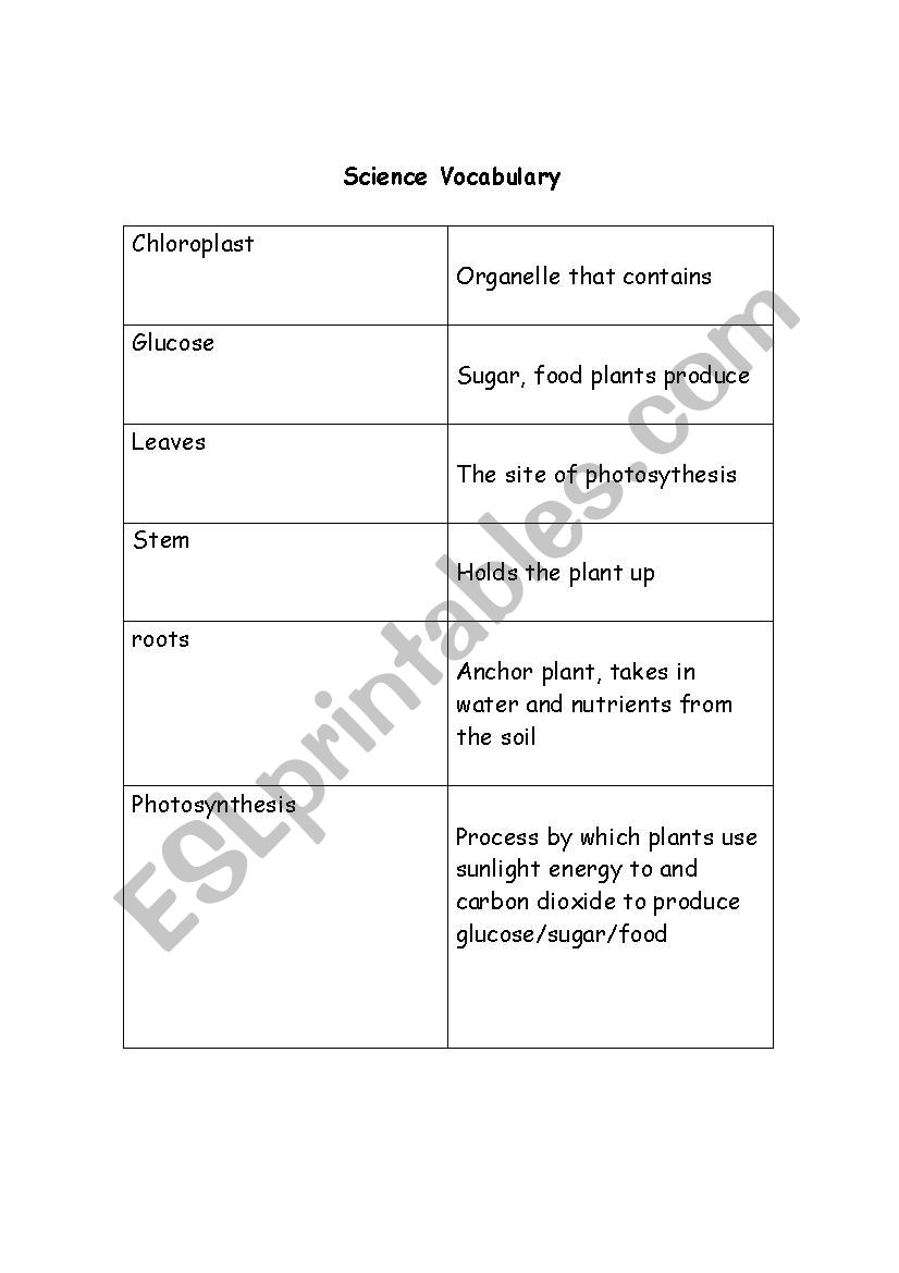 Parts of the Plant Vocabulary worksheet