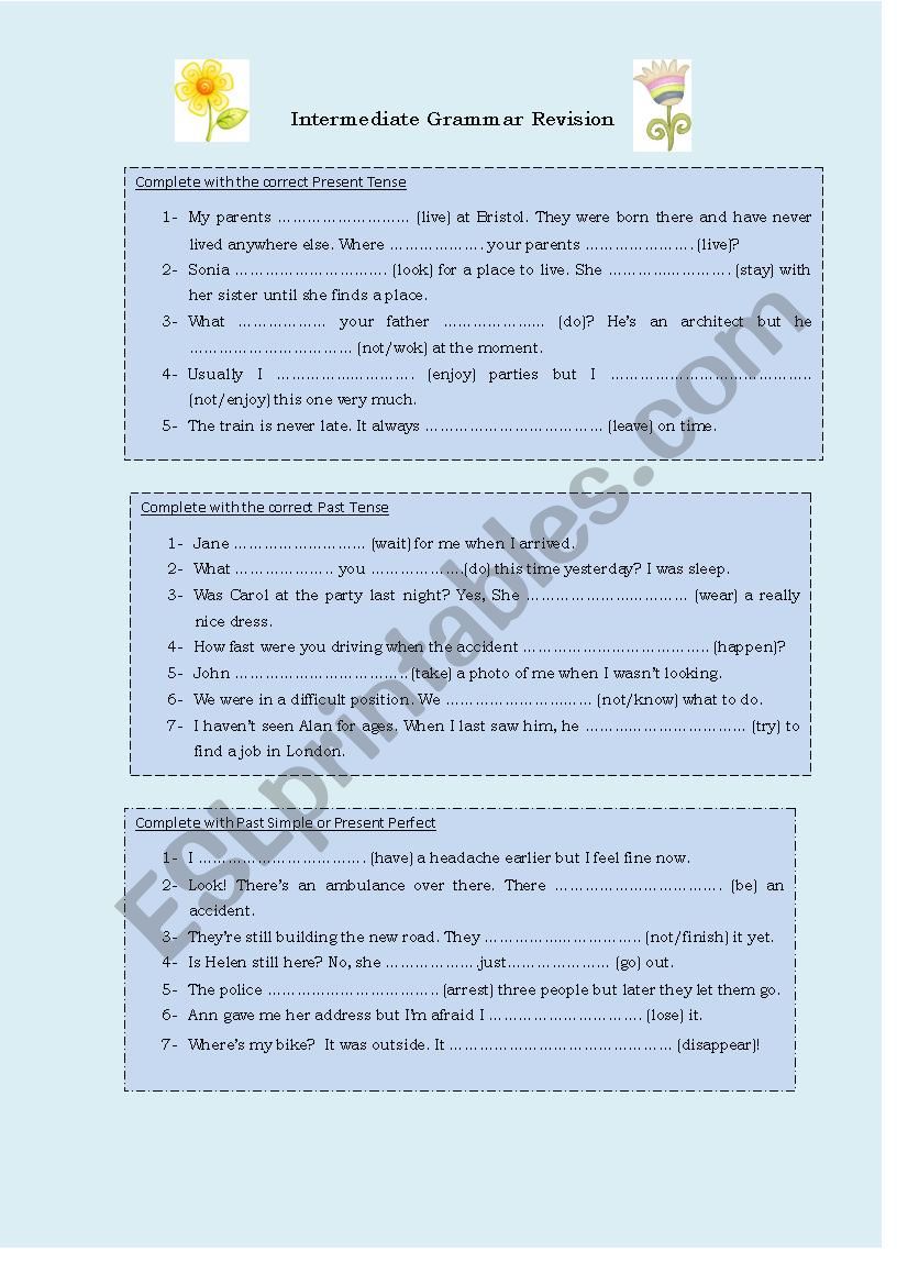 Intermediate Grammar Revision worksheet