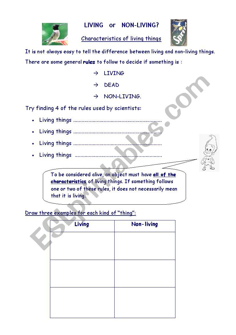 Living vs non-living worksheet