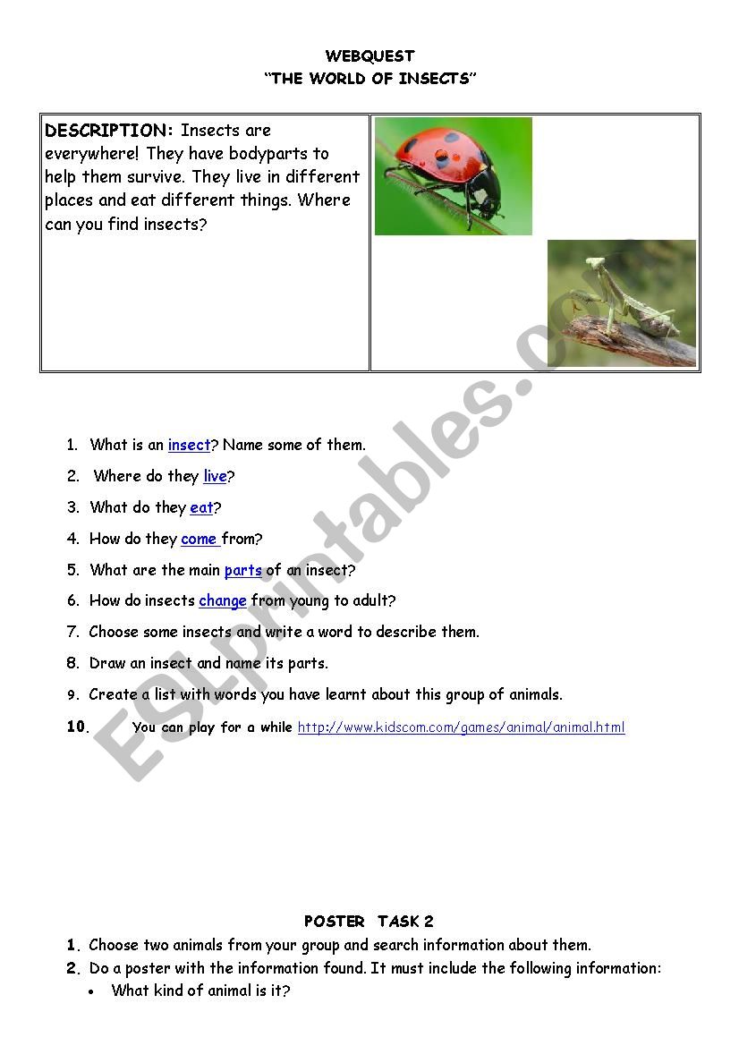 the world of insects worksheet
