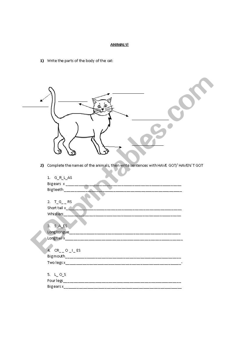 parts of the animal worksheet