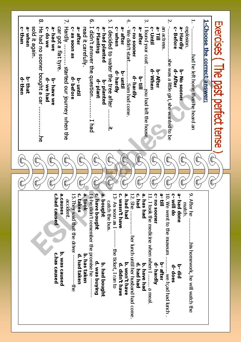 Exercises on the past perfect tense