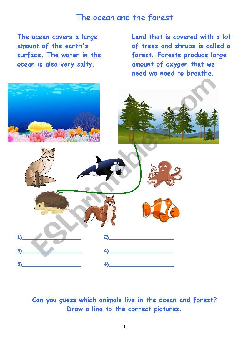 Nature Science Animals Ocean and Forest - ESL worksheet by pam21 In The Nature Of Science Worksheet