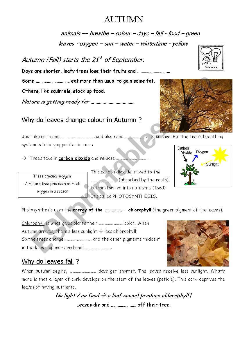 Autumn - Cloze worksheet