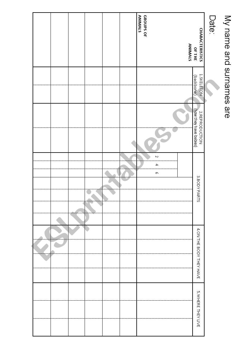 Vertebrates and invertebrates worksheet