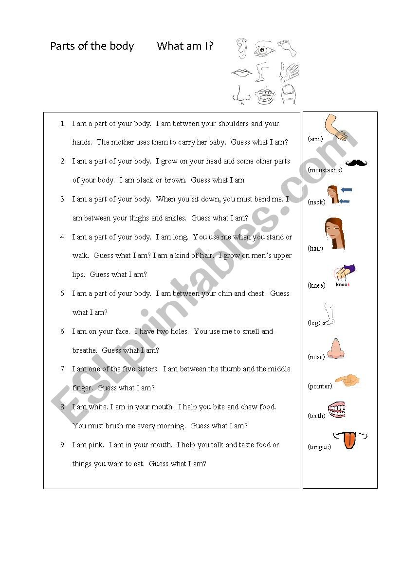 parts of the body worksheet