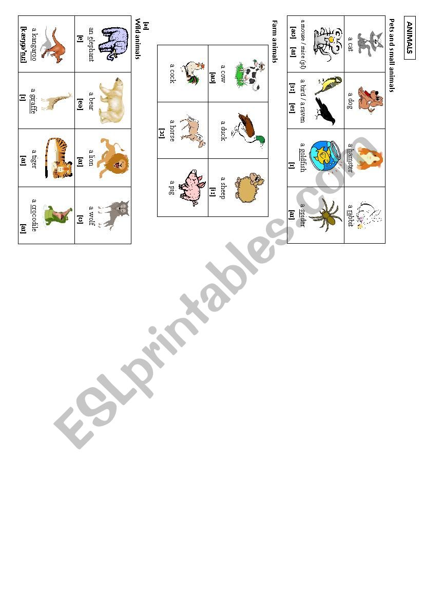 Animals worksheet