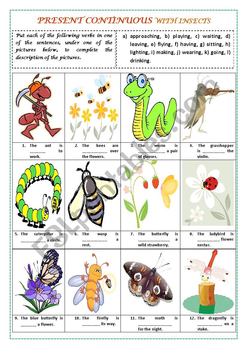 PRESENT CONTINUOUS with INSECTS (with key)