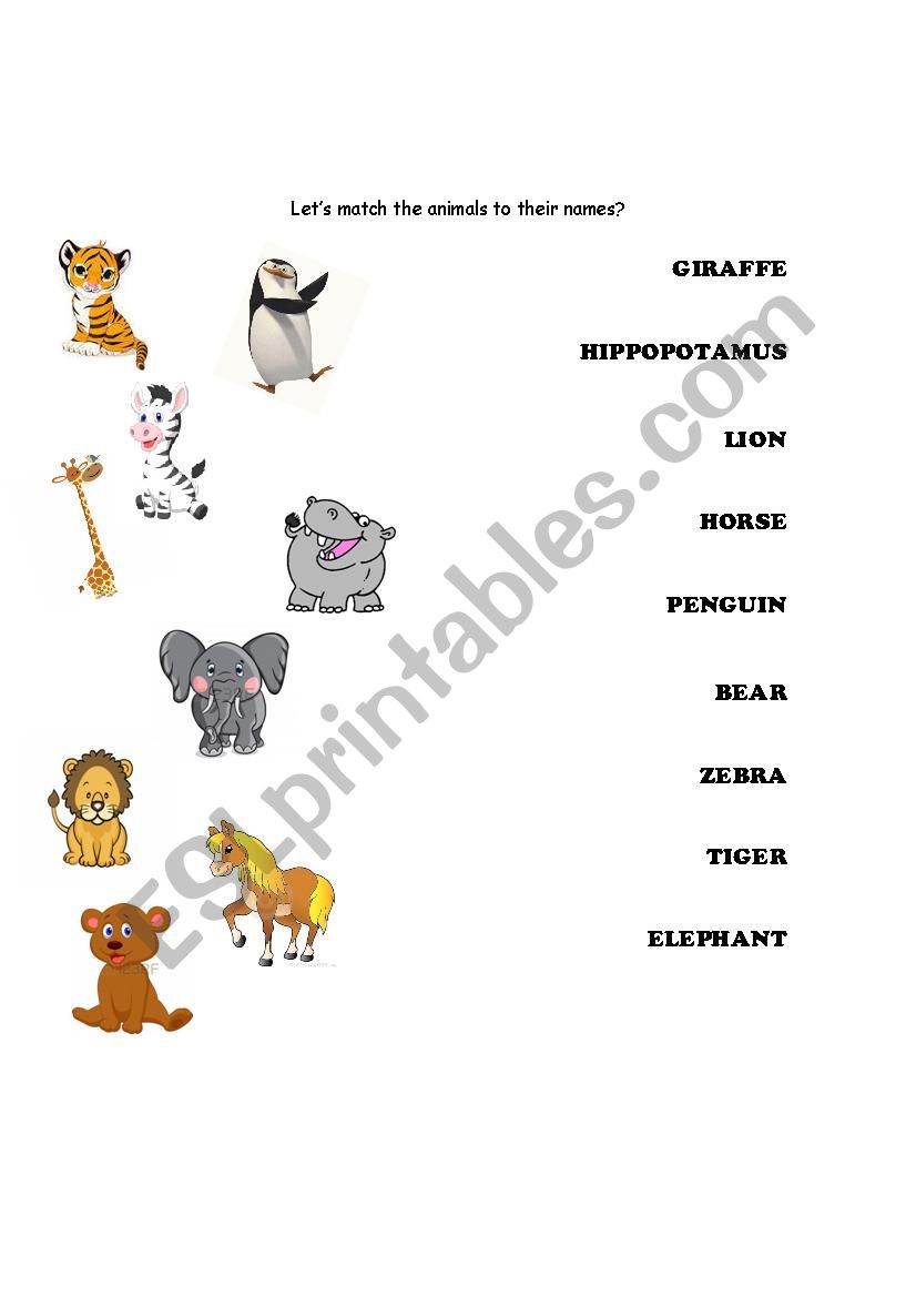 Zoo Animals worksheet