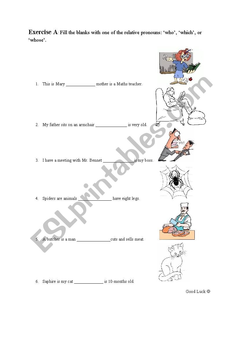 Who, Which, Whose Exercises worksheet
