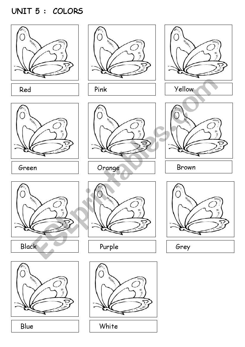 color the butterflies worksheet