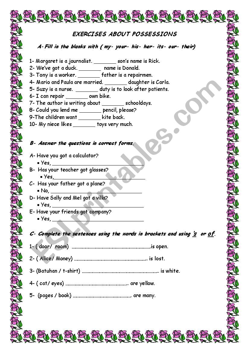 EXERCISES ABOUT POSSESSIONS worksheet