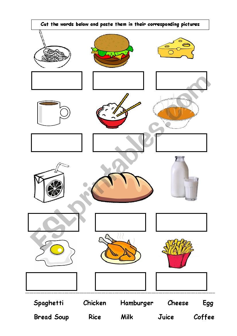 Food Worksheet worksheet