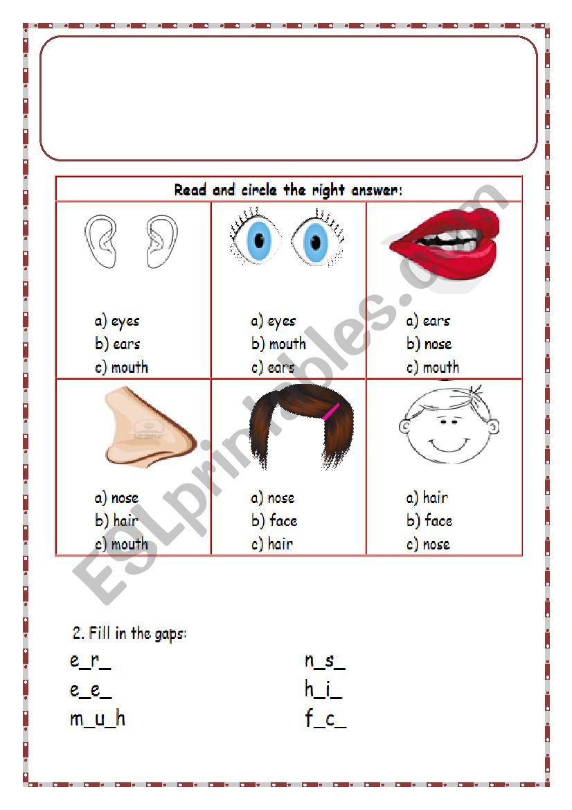 face features worksheet