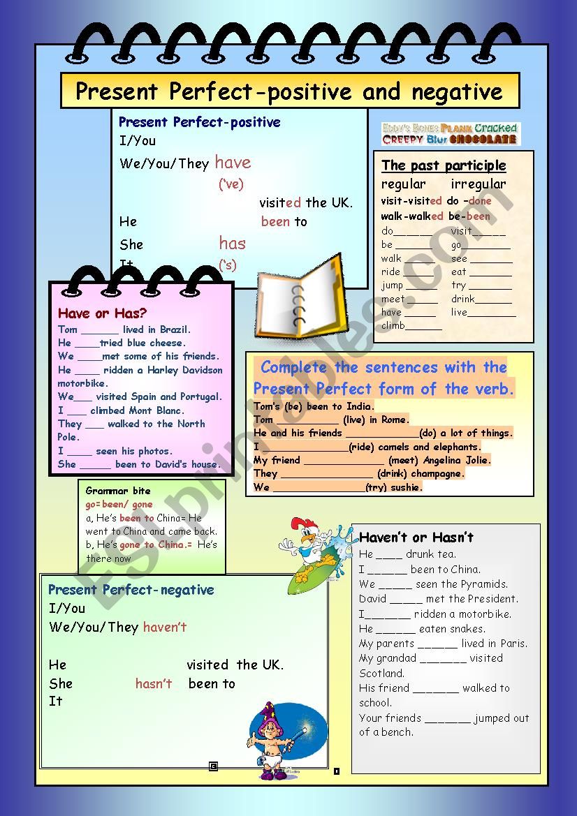 Present Perfect -positive negative