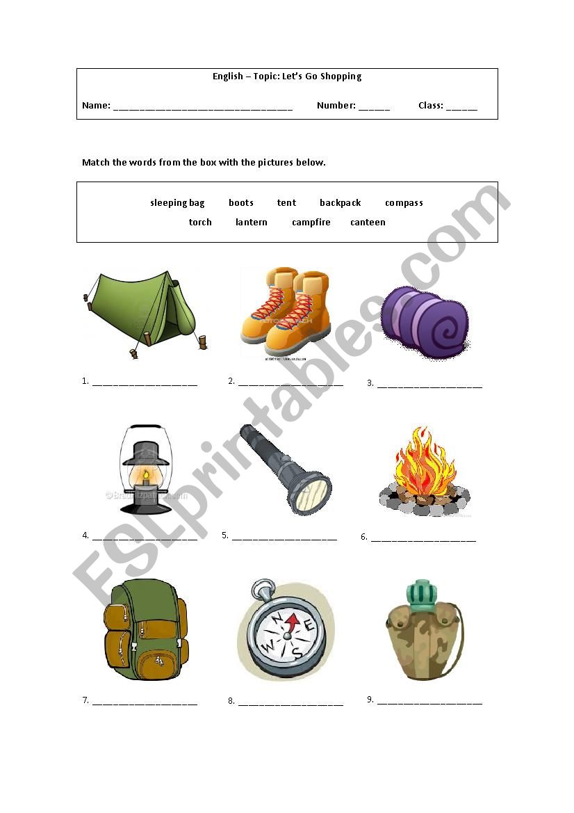 Camping Vocabulary worksheet