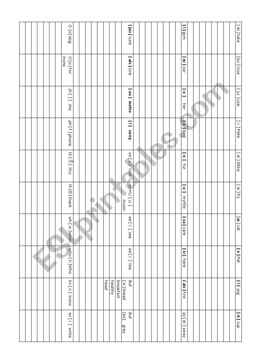 rules of reading worksheet