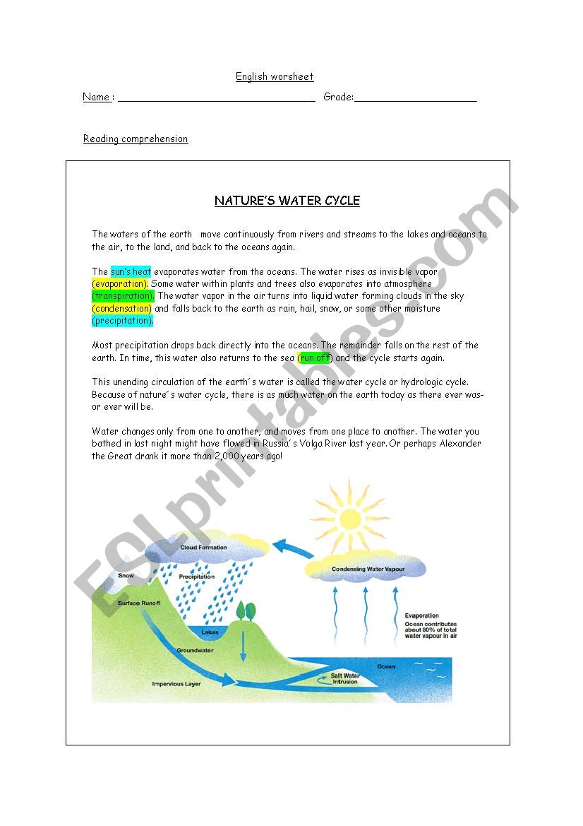 natures water cycle worksheet