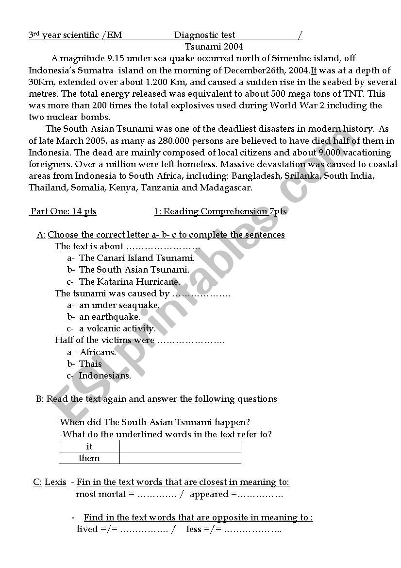 Tsunami 2004 worksheet