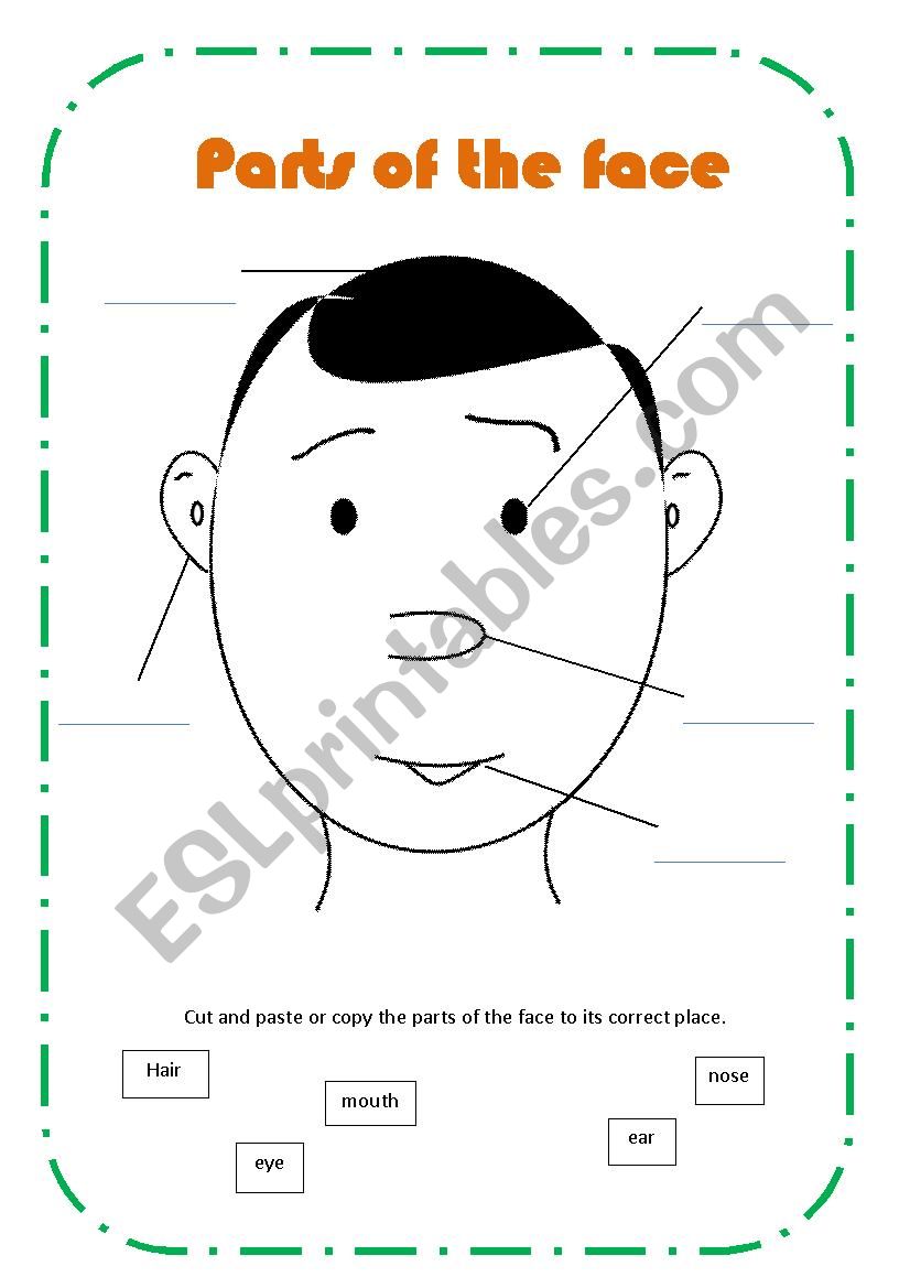 Parts of the face worksheet