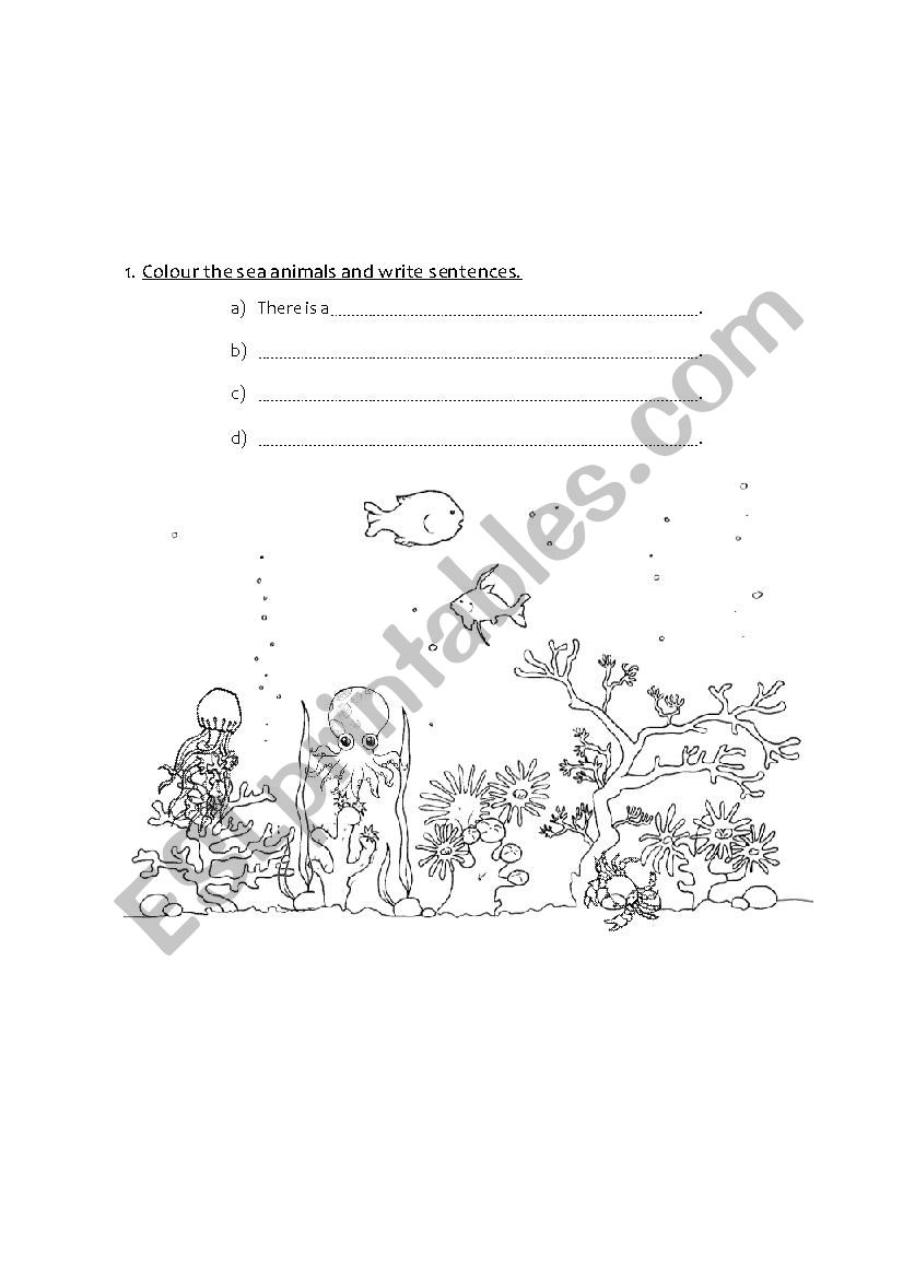 Sea Animals worksheet