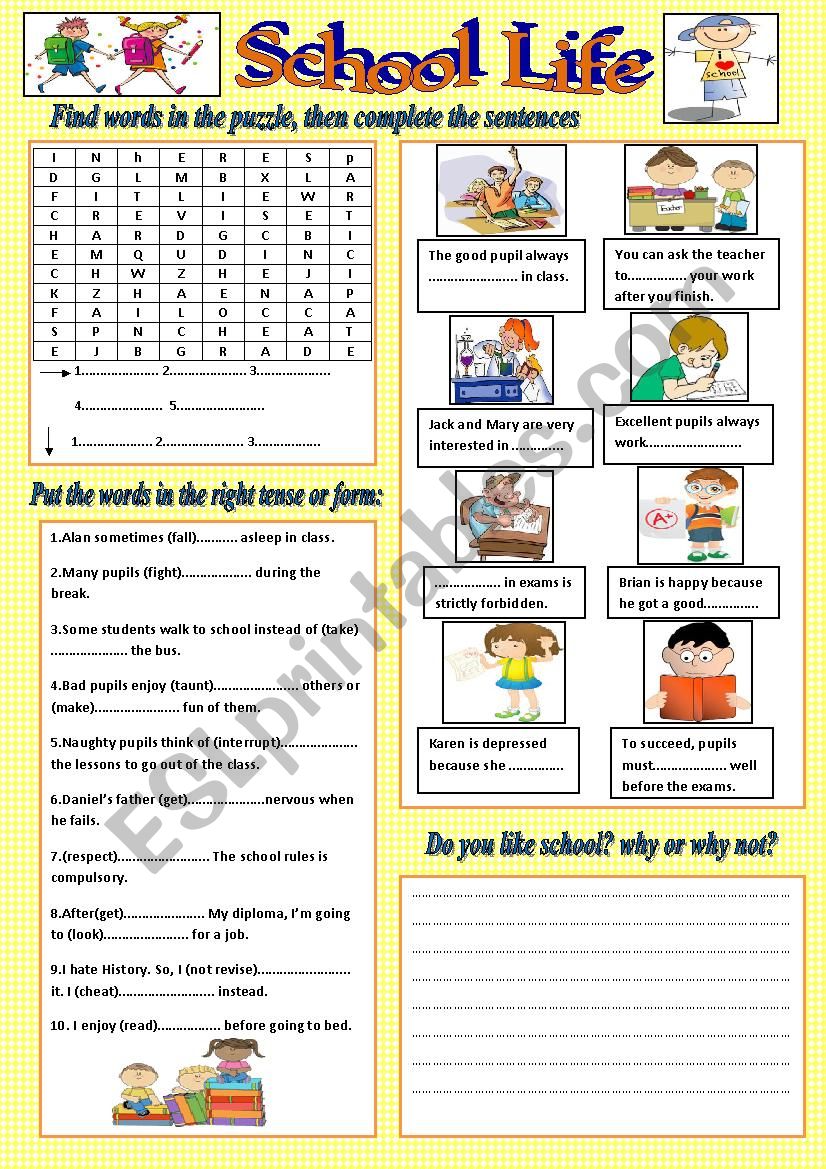 School life worksheet