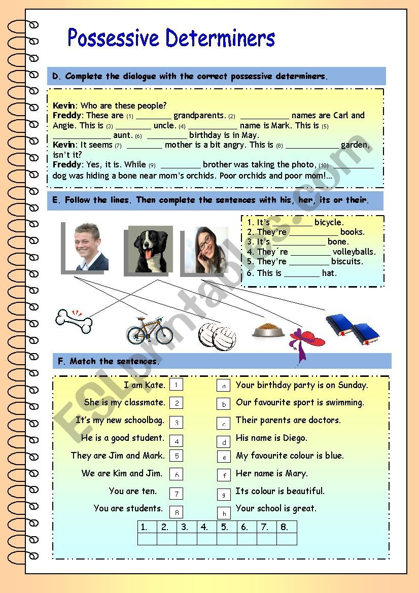 POSSESSIVE DETERMINERS (Part 2)