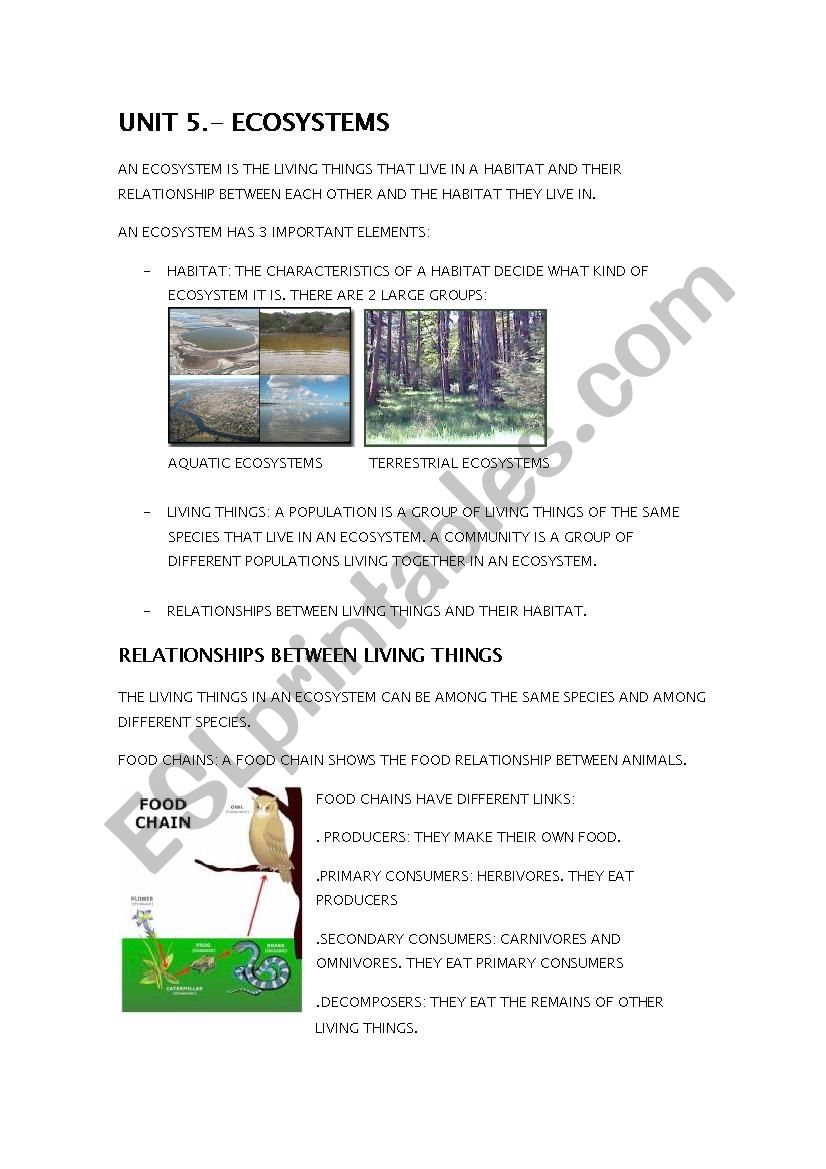 ECOSYSTEMS. SUMMARY worksheet