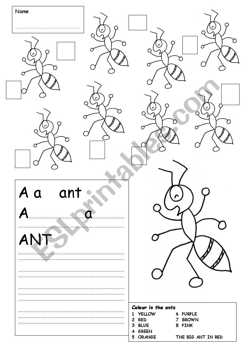 ANT WORKSHEET worksheet