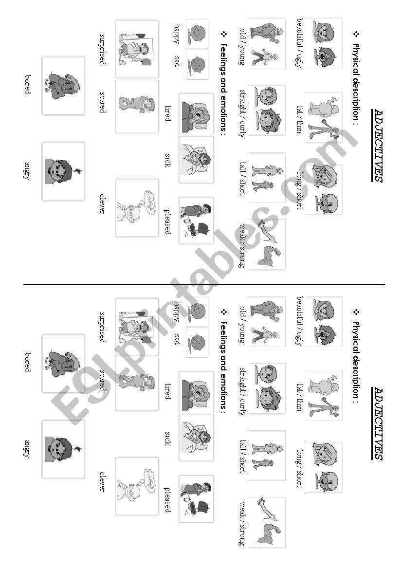 Opposite adjectives worksheet