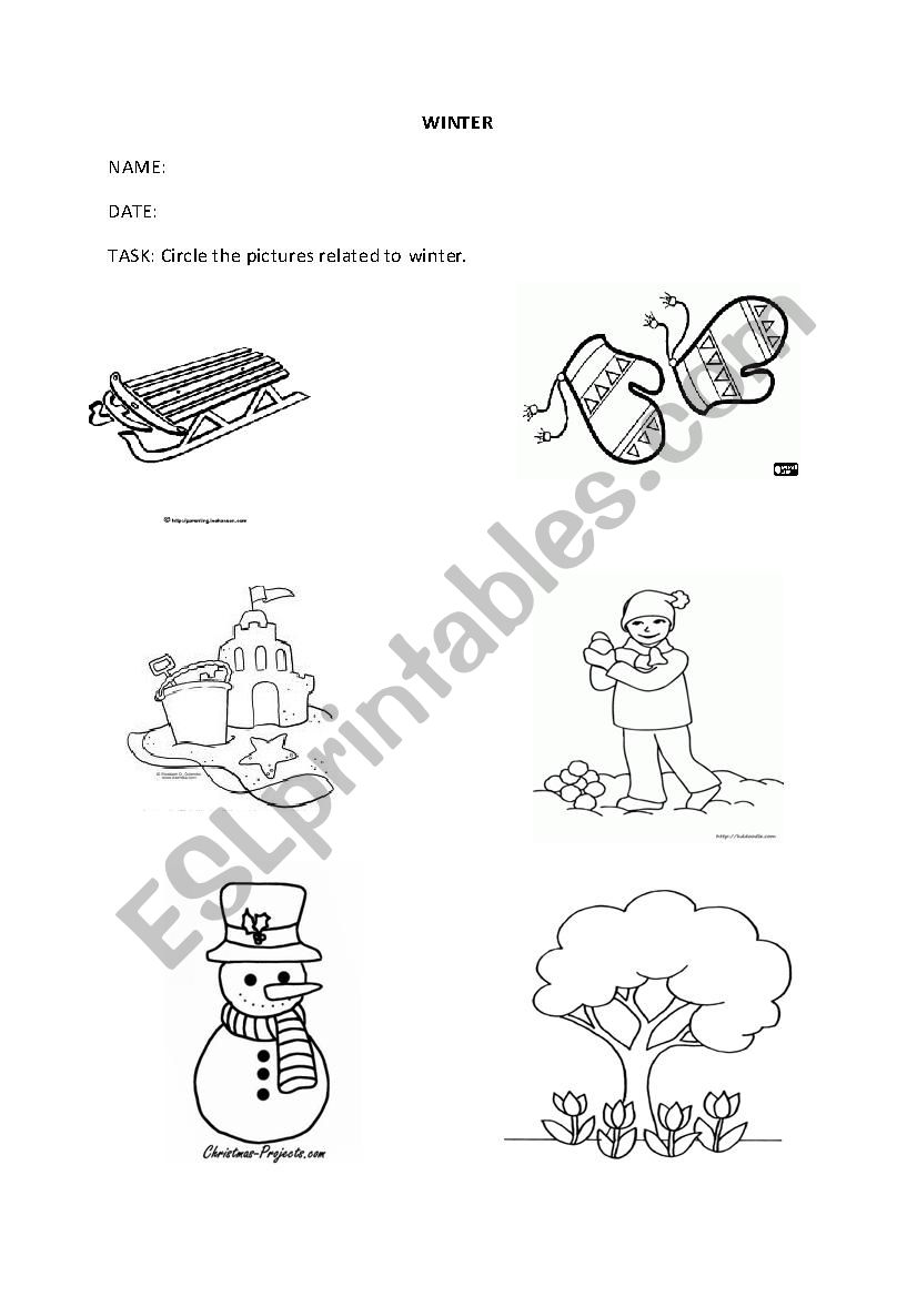 Autumn worksheet worksheet