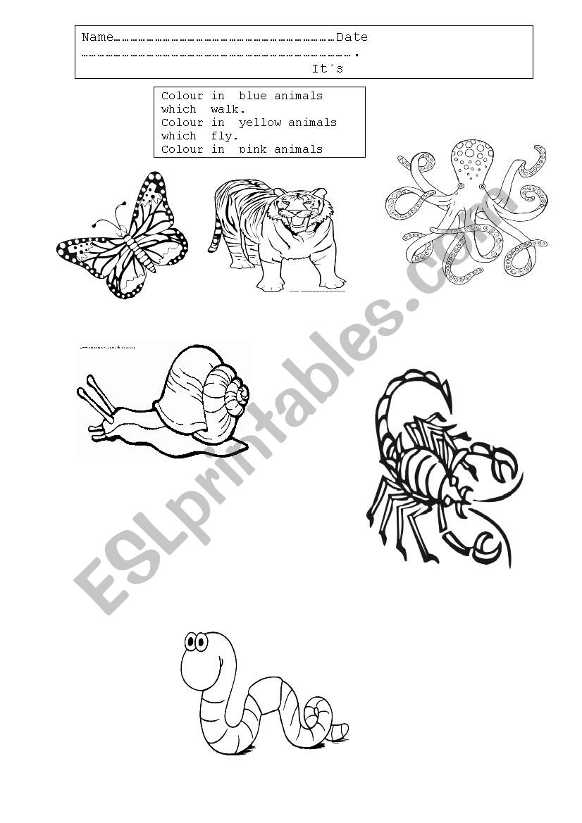 ANIMAL CLASSIFY worksheet