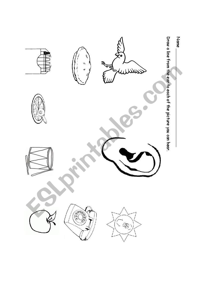 Hearing Sense worksheet