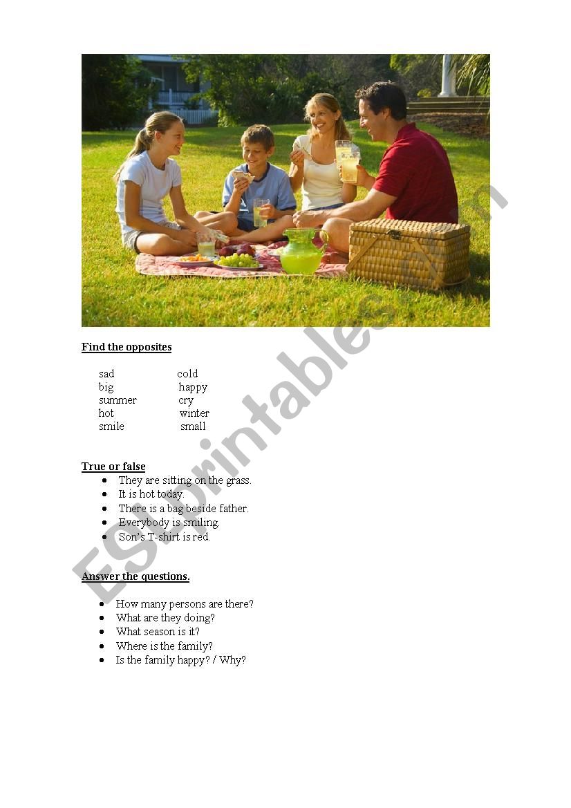 Picnic worksheet