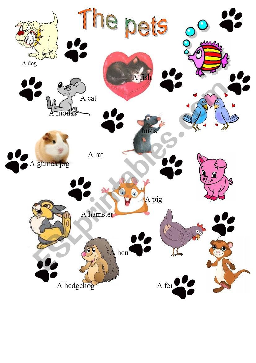 The pets worksheet