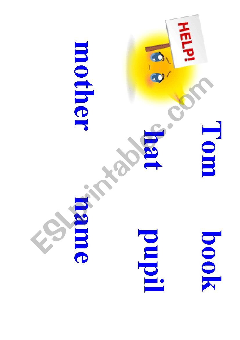 Possessive Â´s worksheet