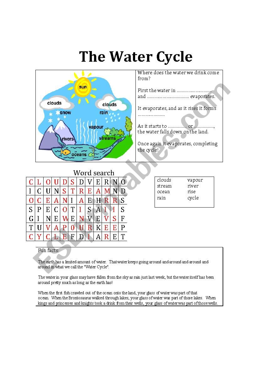 The Water Cycle worksheet