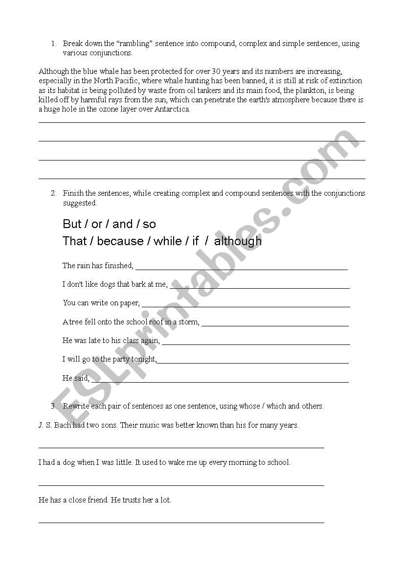 Academic writing worksheet