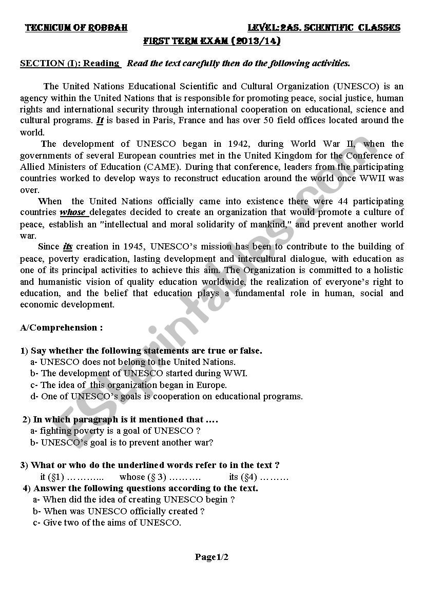 reading comprehension worksheet