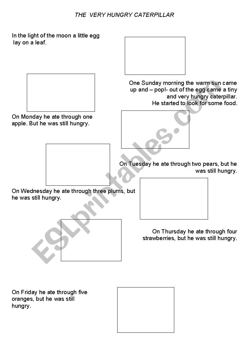The very hungry caterpillar  worksheet