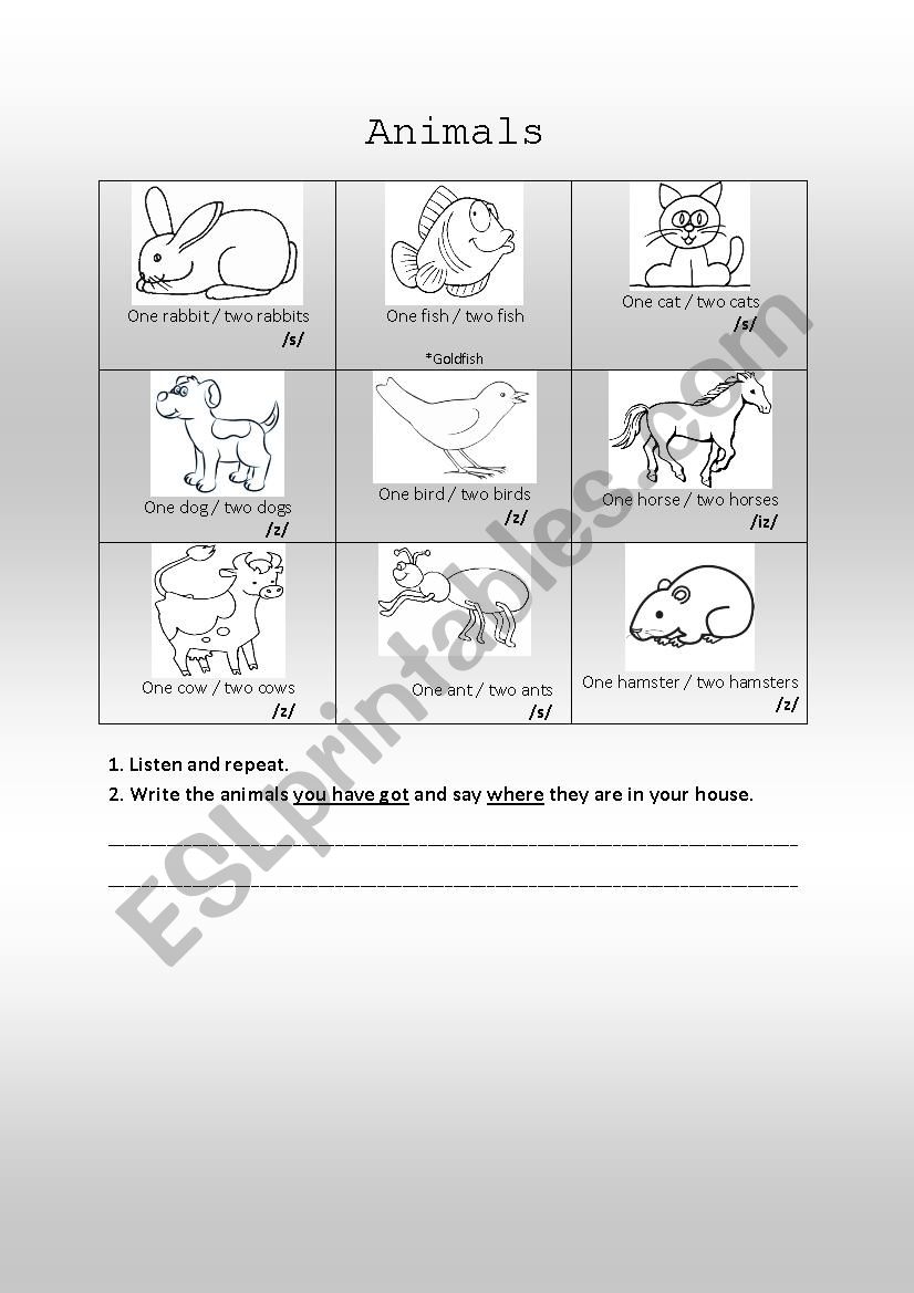 Animals worksheet