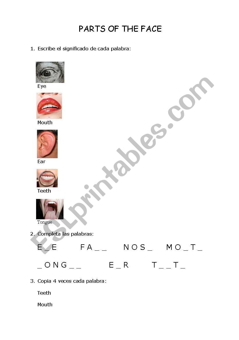 Parts of the Face 1 worksheet