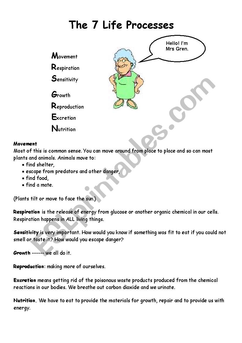 Life Processes Worksheet worksheet