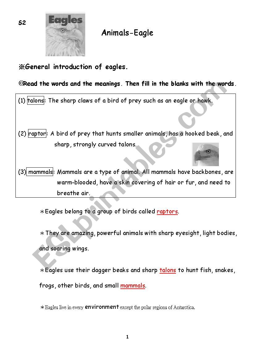 General Introduction of Eagles